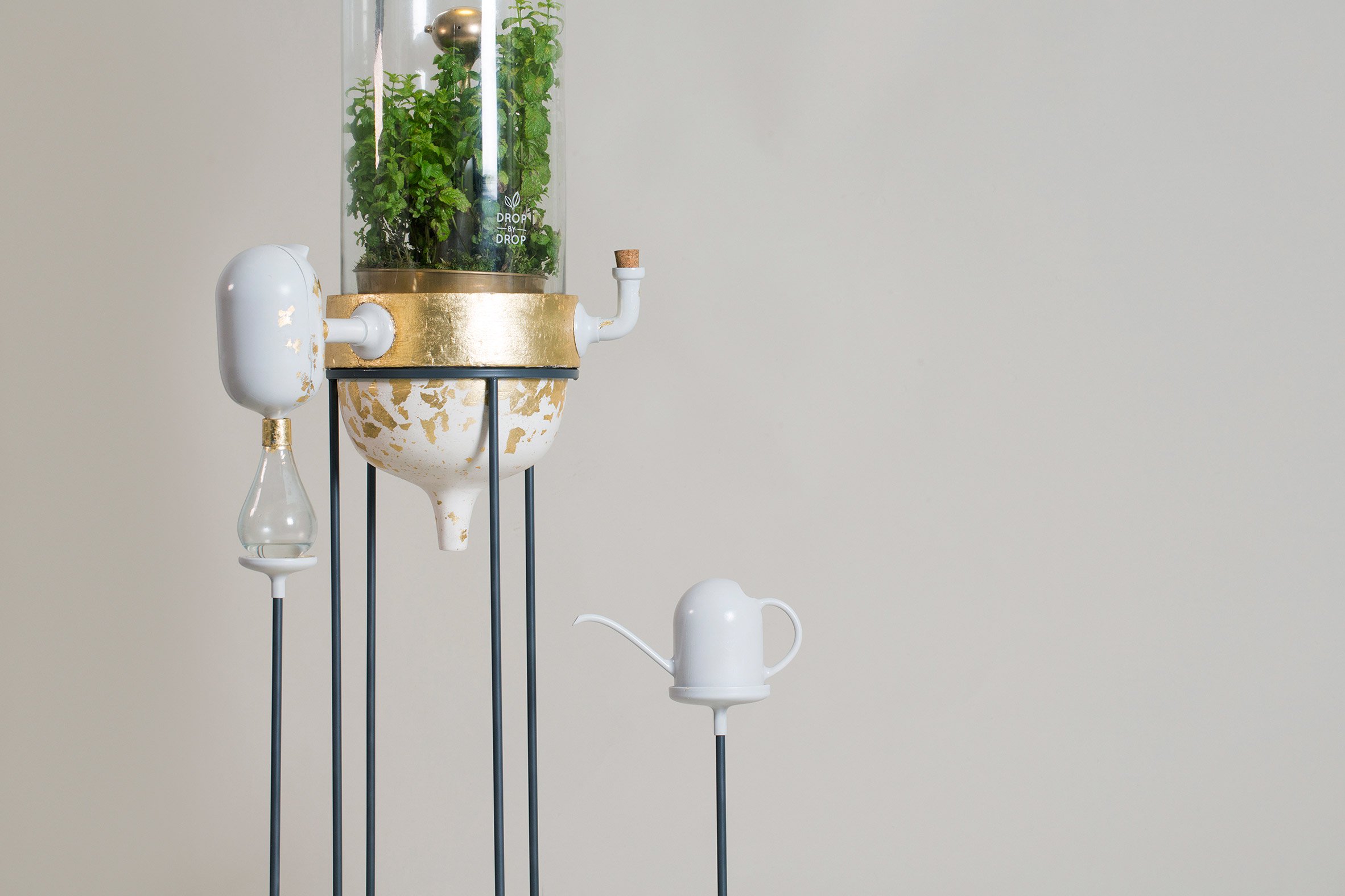 A Plant-based ​Water Filter ​That Works as a ​Mini Amazon ​