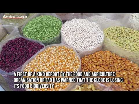 Food And Agriculture Organisation Warns That The Globe Is Losing Its Food Biodiversity (Video)
