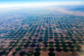 Farmers trying to save Ogallala Aquifer face tension from peersCenter pivot irrigation sprinklers water a wheat field in Finney County. David Co...