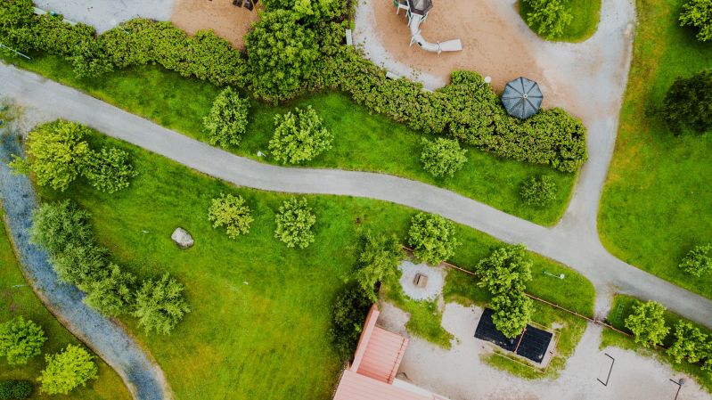 landscape-tree-grass-plant-moss-green-vegetation-bird's-eye-view-aerial-photography-biome-urban-design-non-vascular-land-plant-1413464.jpg