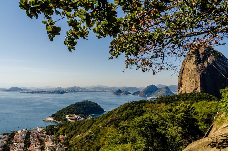 rio 2.jpg