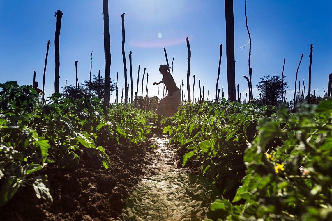 Africa Droughts Call to Start Pumping Untapped Groundwater