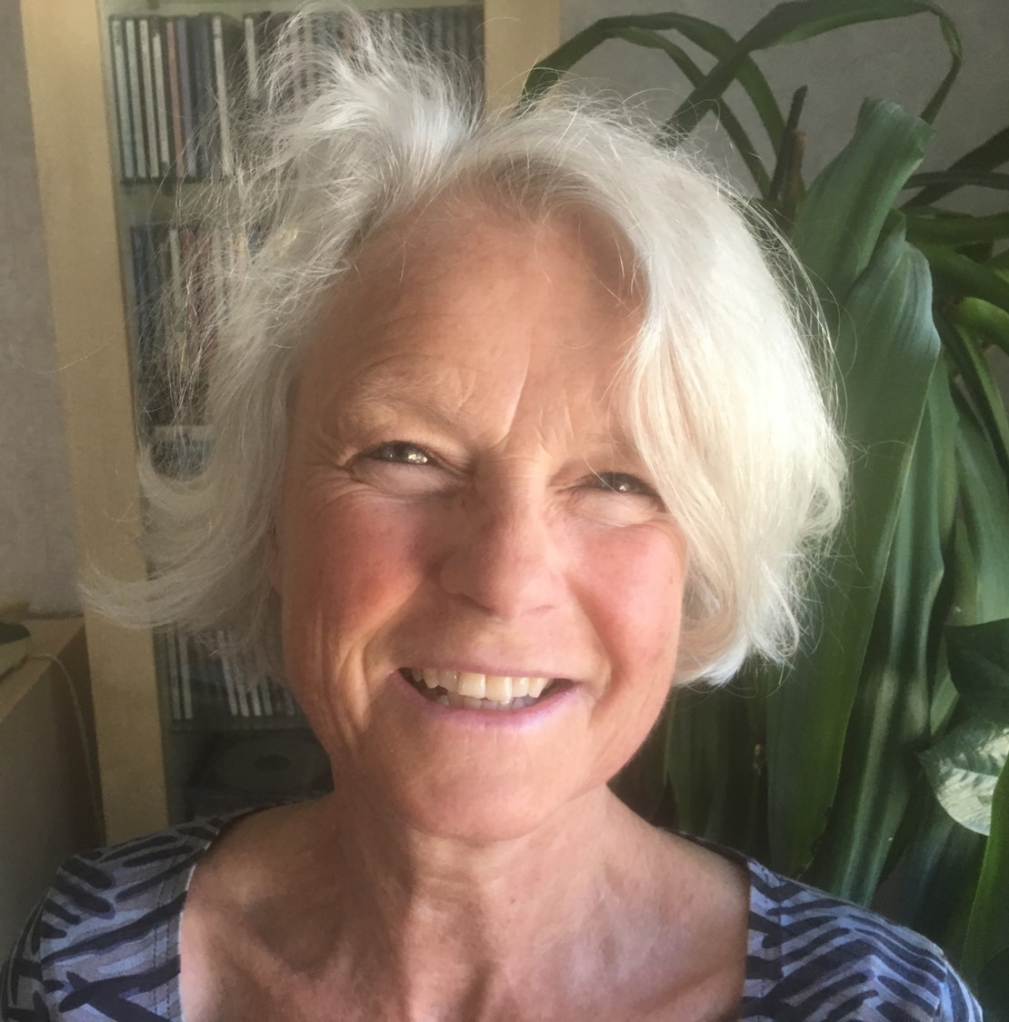 Ann-Karin Thorén, Senior Analyst at Swedish Agency for Marine and Water Management