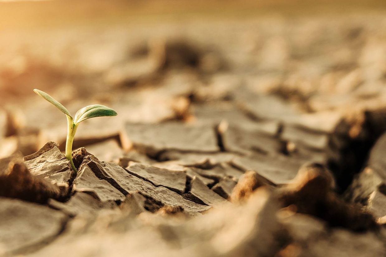 WaterWise Documentary Soon Available for Streaming