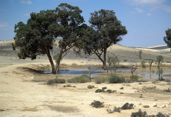 water-israel-facts-desalination-560x385.jpg