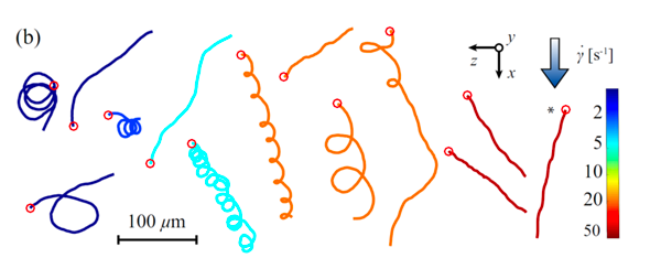Yfvl2sO.png