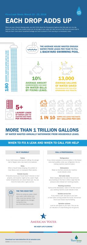 Fix_a_Leak_Week_Infographic.jpg