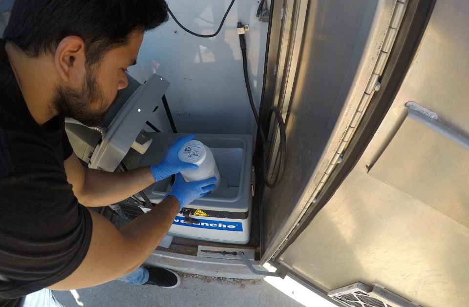Arizona Students are Investigating Sewage System to Solve the Problem of Opiods in Wastewater