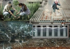 Sidewalk tiles to capture and reuse water runoff