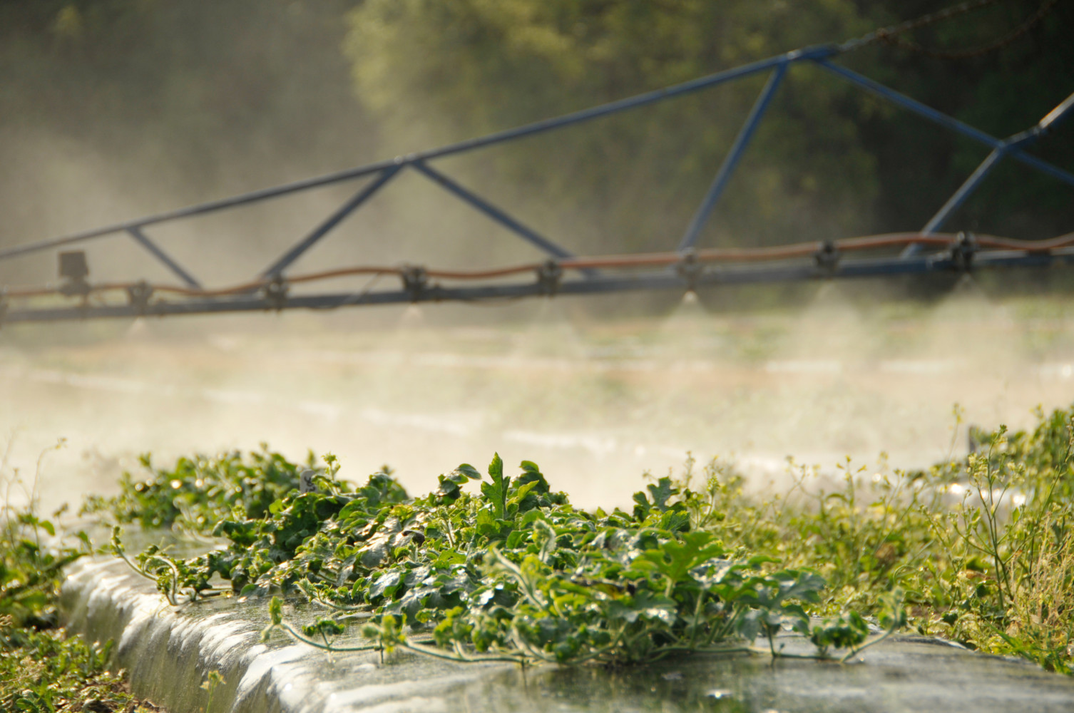 Clemson is ​Helping Ensure ​South ​Carolina'​s Water ​Resources