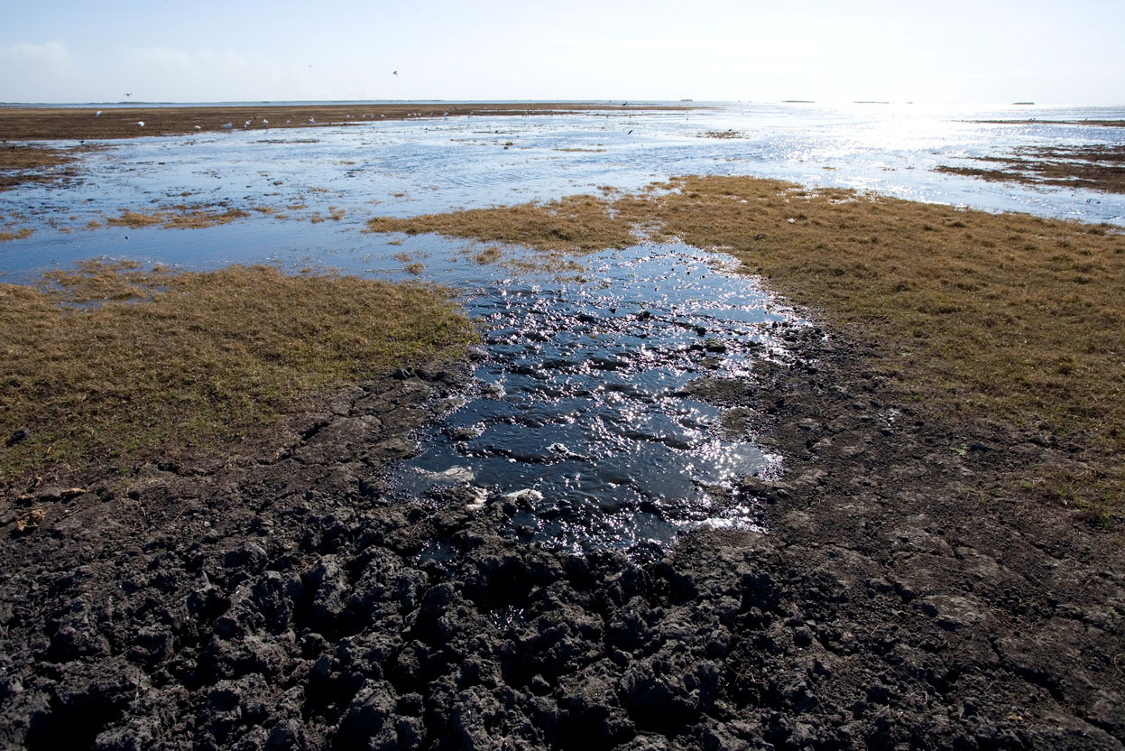 Water in the economy: a narrative for stewardship - By Stuart Orr