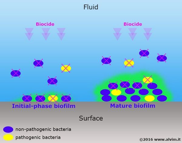 cleaning-effectiveness-pathogens_sm.jpg