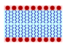 4X9BZFd.png