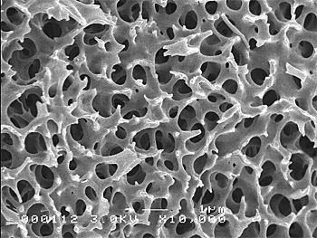 dws-nx-filtration-24water-polymeric-membrane-350px.jpg