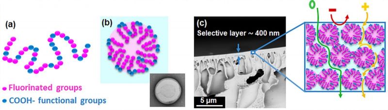 Membrane%20image%202.jpg