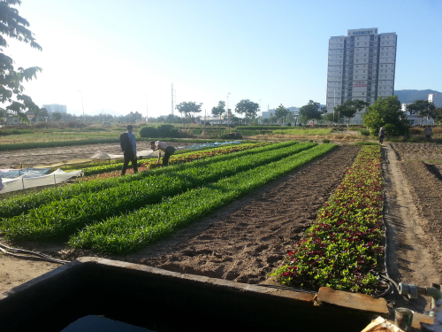 Wastewater Treatment Project Delivers Water and Fertilizer