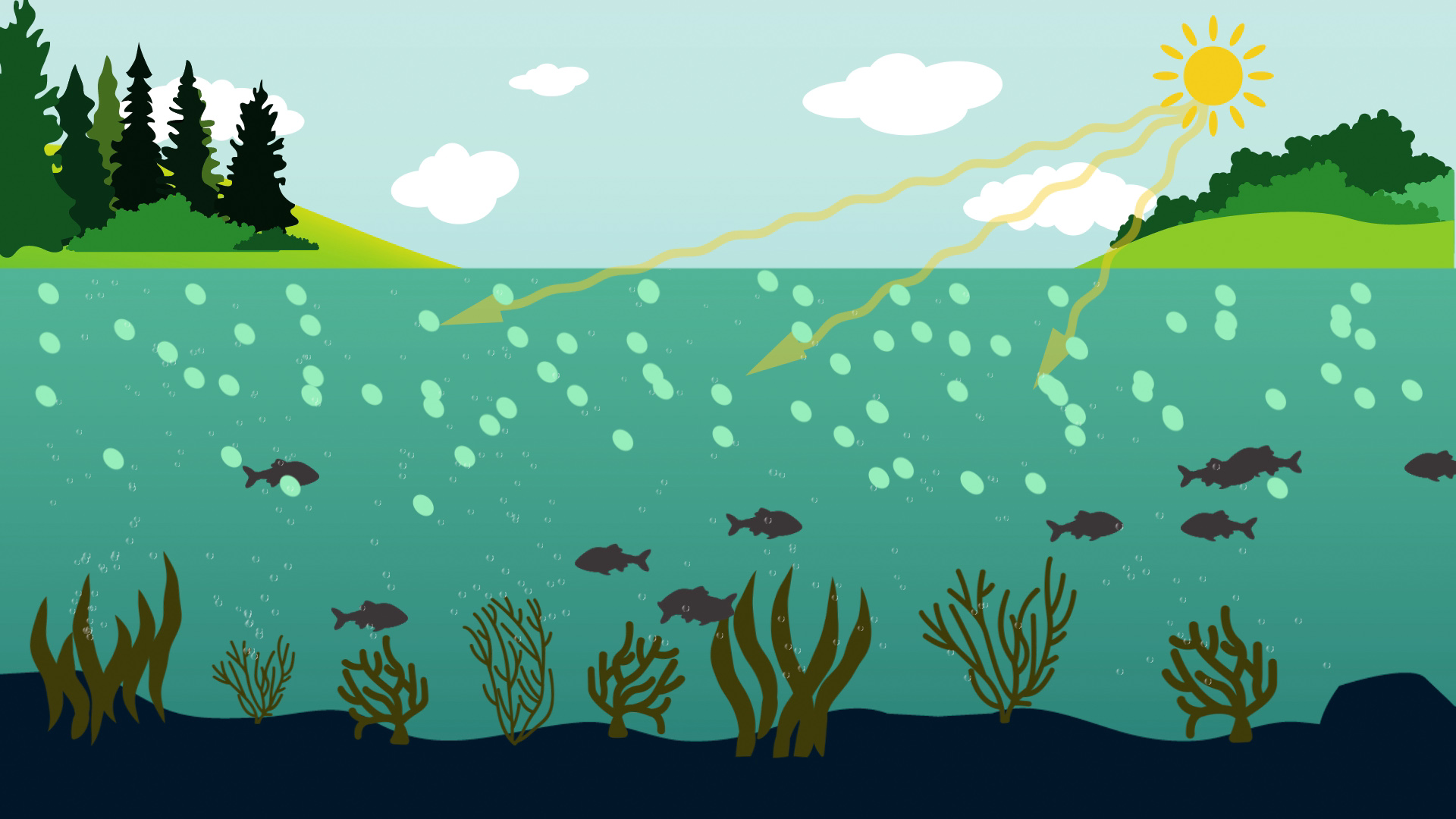 Why it is Important to Control Algae Growth