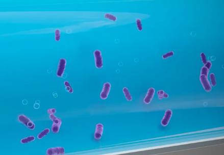 Biofilm detection and prevention of related issues