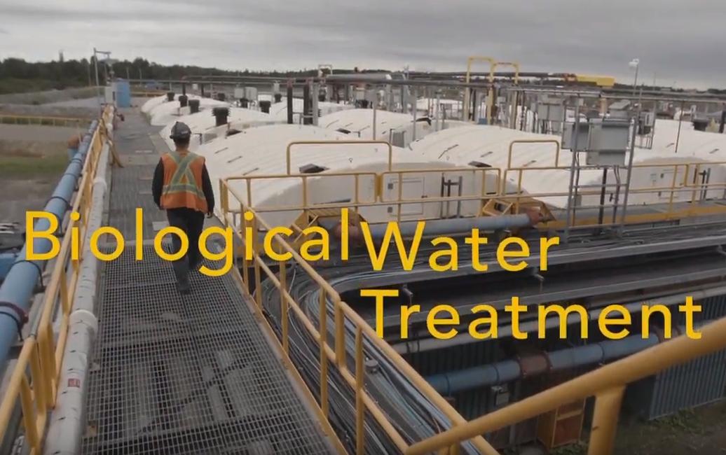 Biological Water Treatment Plant Successfully Improves Water Quality (Video)