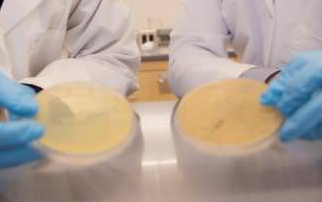 Chemical-Feasting Bacteria Provide New Key for Removing 1,4-dioxane From Contaminated Water