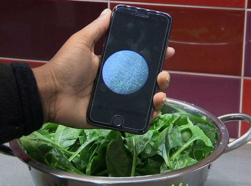 New, Low-Cost Tool for Detecting Bacteria in Food and Water