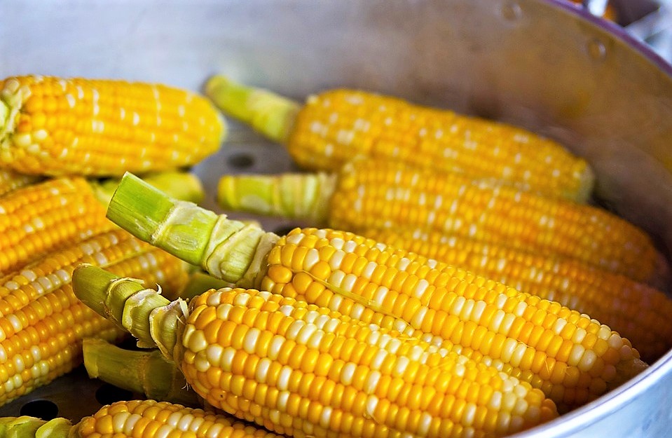 Using Corn to Clean Water
