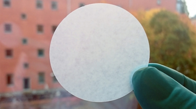 Paper Filter from Green Macroalgae for Effective Water Purification