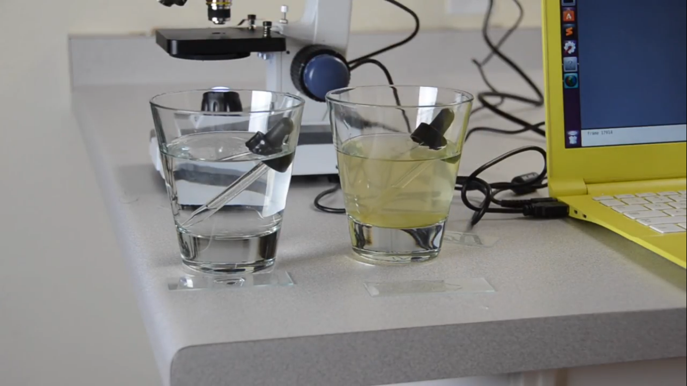 Artificial ​Intelligence ​Detects Water ​Contamination
