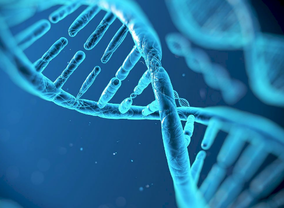 Common Water Treatments Could Damage DNA