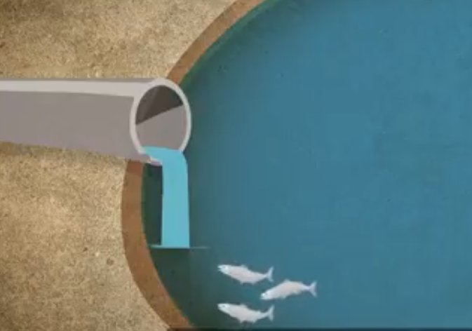 6-4EPPsIQaGpuKR2m2CSnA.png
