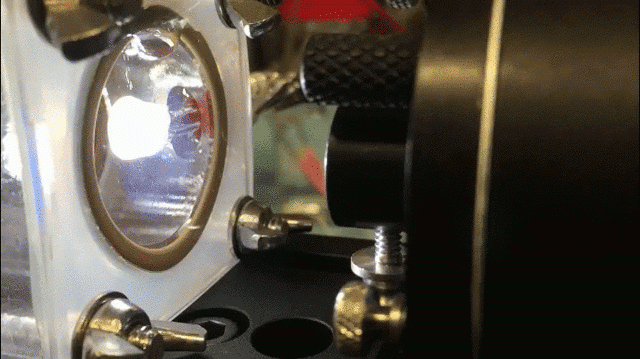 c8ee03673j1_0_v2_0.gif