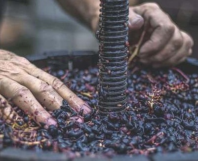 Washington Ecology Sets Rules for Winery Wastewater