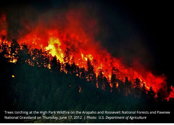 High_Park_Wildfire_NL.jpg