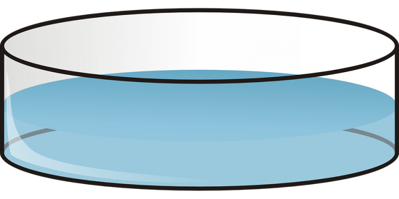 petri-28971_960_720.png