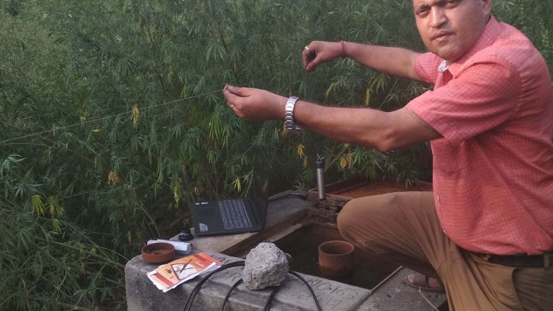 Punjab-Header2.jpg