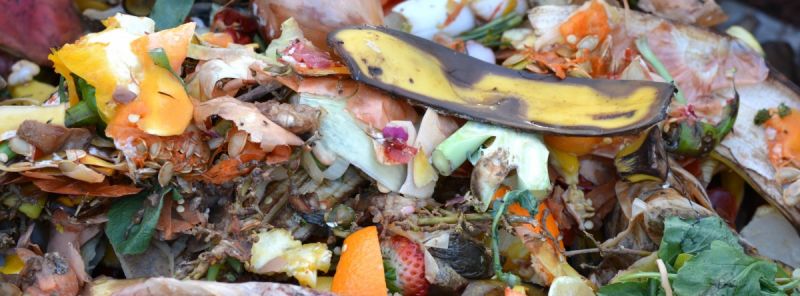food waste 2 .jpg