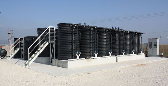 mabr-hayogev.jpg