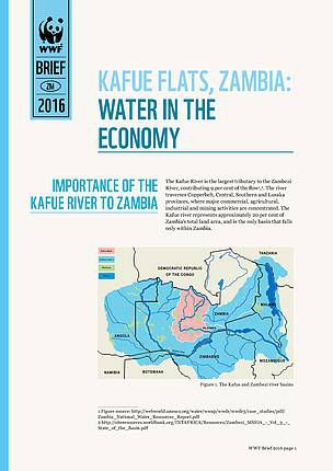 zambia_policy_brief_general_cover_545348.jpg