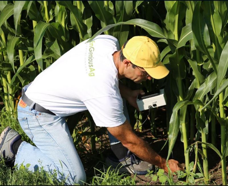 EnGeniousAg nitrogen sensor in hand of man on knees at the edge of a cornfield - low res.jpeg