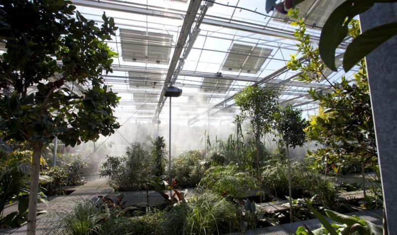 south pest interior.jpg