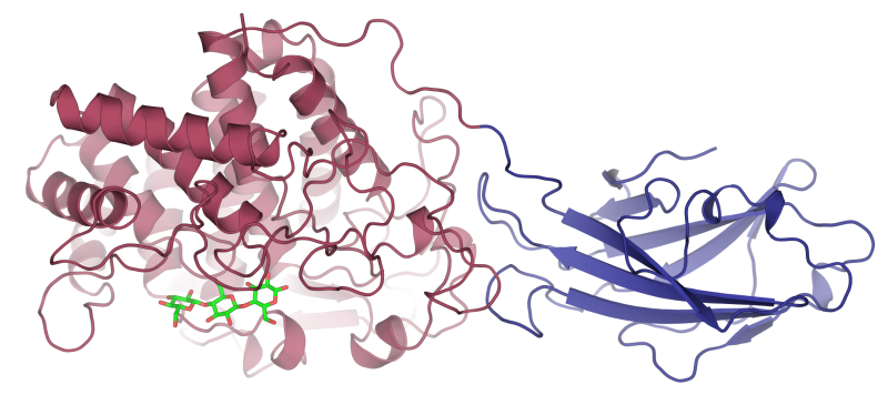 Cellulase_1JS4.png