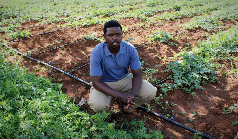 diy irrigation kit 4.png