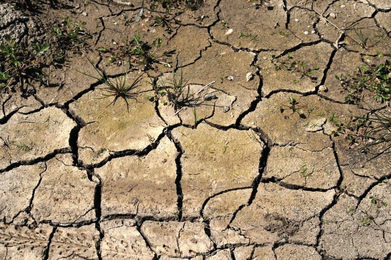 drought-1999432_960_720.jpg