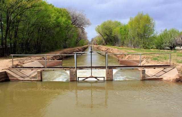 Drought-Water-Plans.jpg