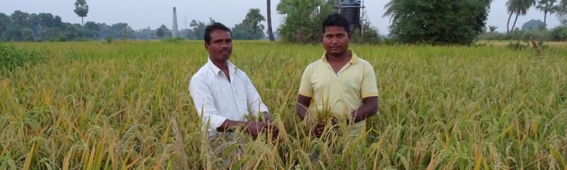 A_Private_NGO_Partnership_between_JAIN_Irrigation_Systems_Ltd_and_PRAN_Gaya2.jpg