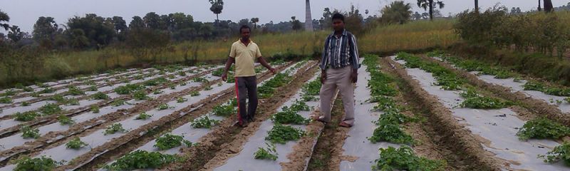 A_Private_NGO_Partnership_between_JAIN_Irrigation_Systems_Ltd_and_PRAN_Gaya5.jpg