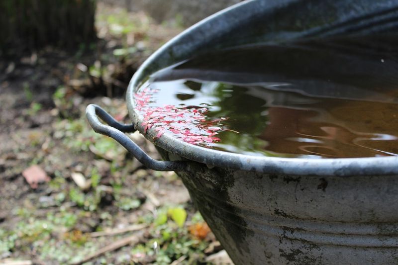 rainwater-140754_960_720.jpg