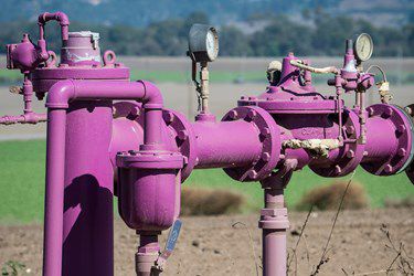 375_250-purplepipe_reg.jpg