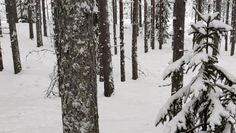 Profimeas Asks, “Can VuLink Withstand Winter in Finland?”