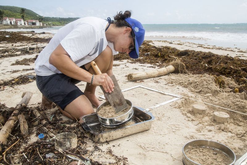 R4WO_GUADELOUPE_MARIE_GALANTE_SCIENTIFIC_STUDY_BEACH_SAMPLING_ANNE_LE_CHANTOUX_OCT_2017_PHOTO_PETER_CHARAF_R4W_2790_WEB.jpg